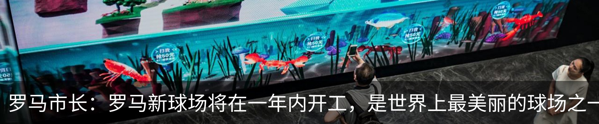 新闻动态