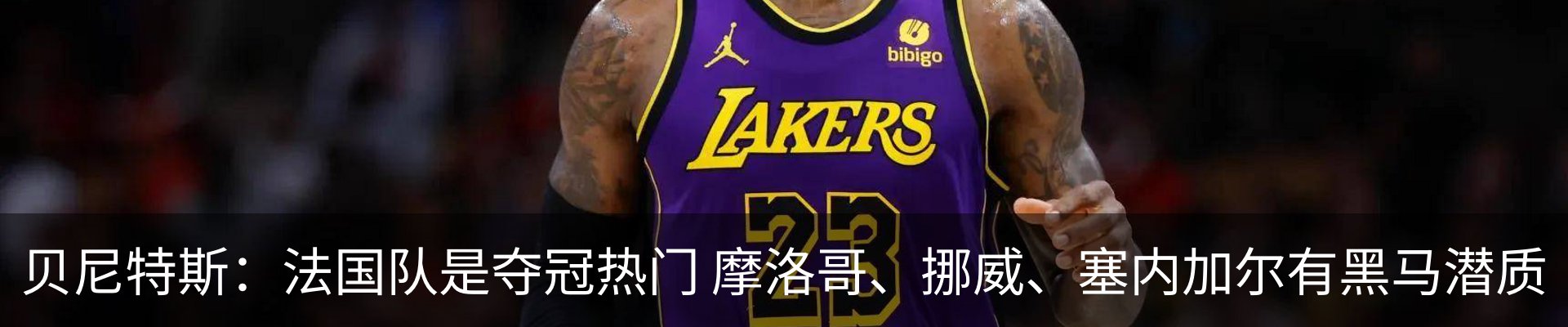 新闻动态